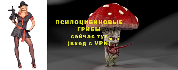 ешки Новокубанск