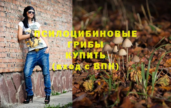 стаф Алексеевка