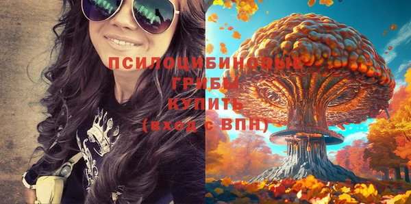 спайс Новодвинск