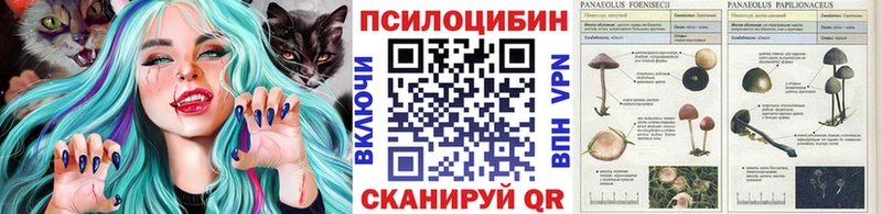 Псилоцибиновые грибы Cubensis дарк нет наркотические препараты Ардатов